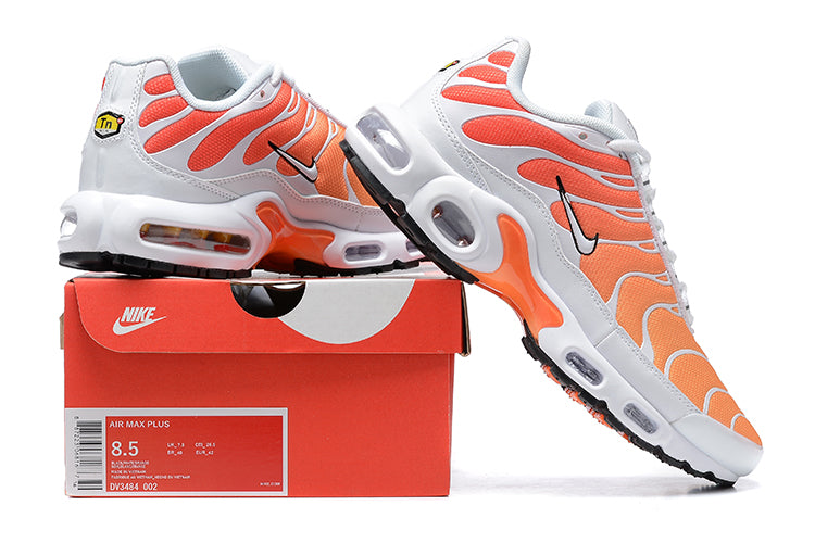Nike Air Max TN 1